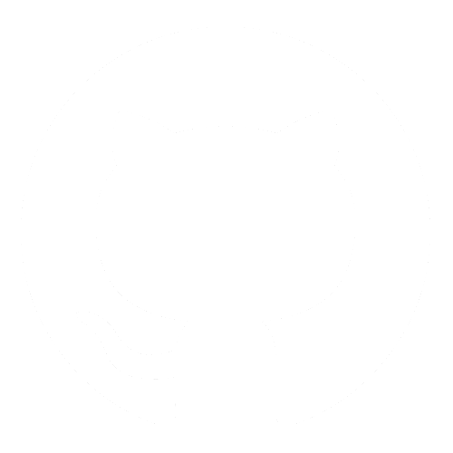 GitHub icon